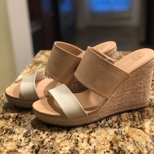 SPRING WEDGES